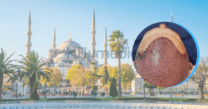 haartransplantation türkei all-inclusive